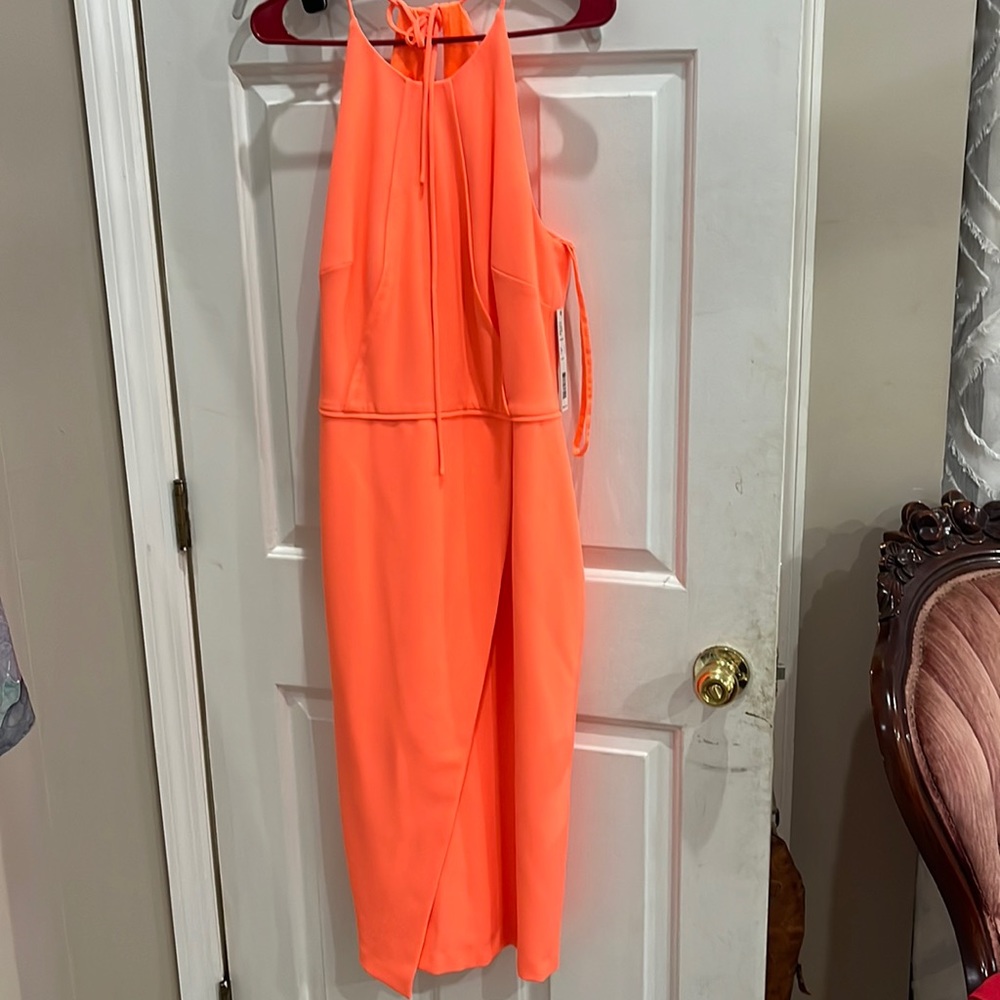 Gianni Bini size 6 NWT